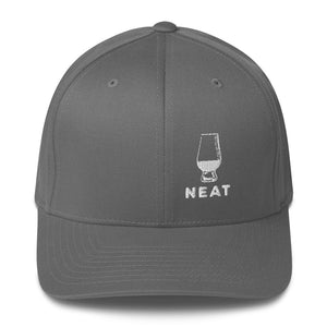 Neat Fitted Hat